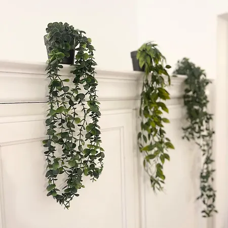 Jungle - Atypique - Spacieux - Wifi - Tv 4k - Vue Sur - Confort * Rouen