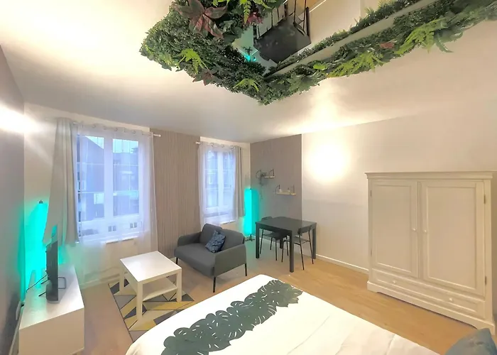 Jungle - Atypique - Spacieux - Wifi - Tv 4k - Vue Sur - Confort