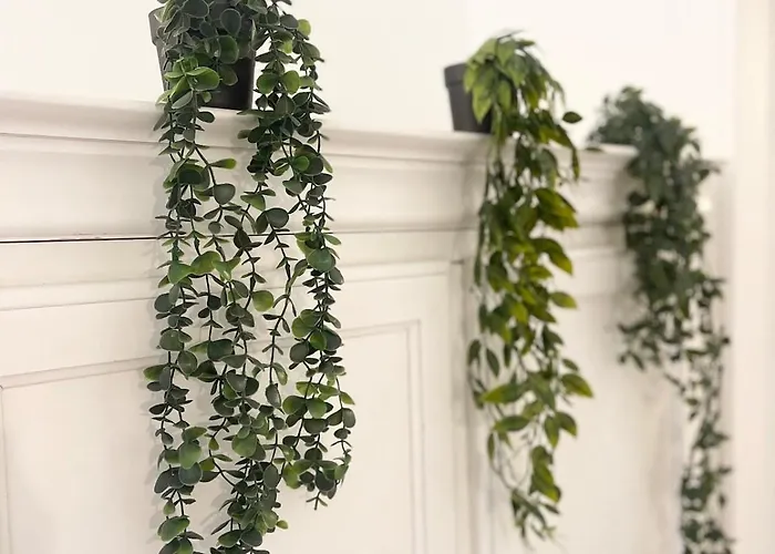 Jungle - Atypique - Spacieux - Wifi - Tv 4k - Vue Sur - Confort * Ρουέν